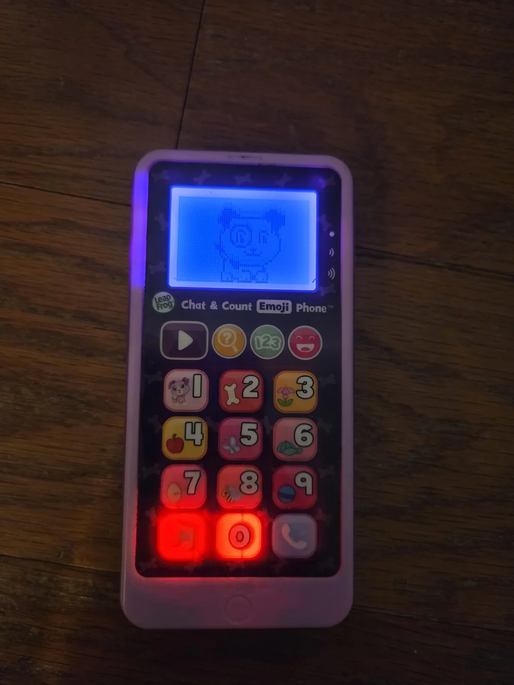 Leapfrog interactive learning